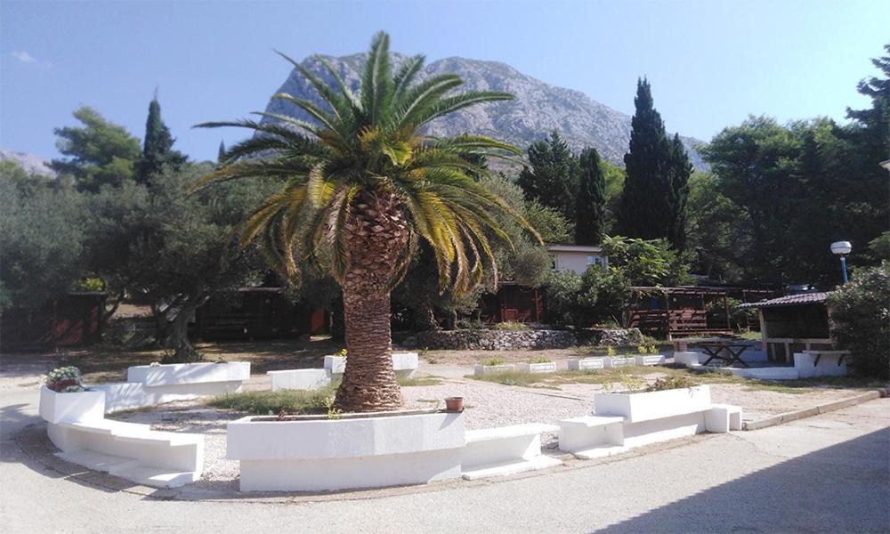 Resort Dalmacija Zaostrog Esterno foto