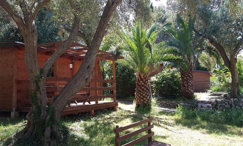 Resort Dalmacija Zaostrog Esterno foto